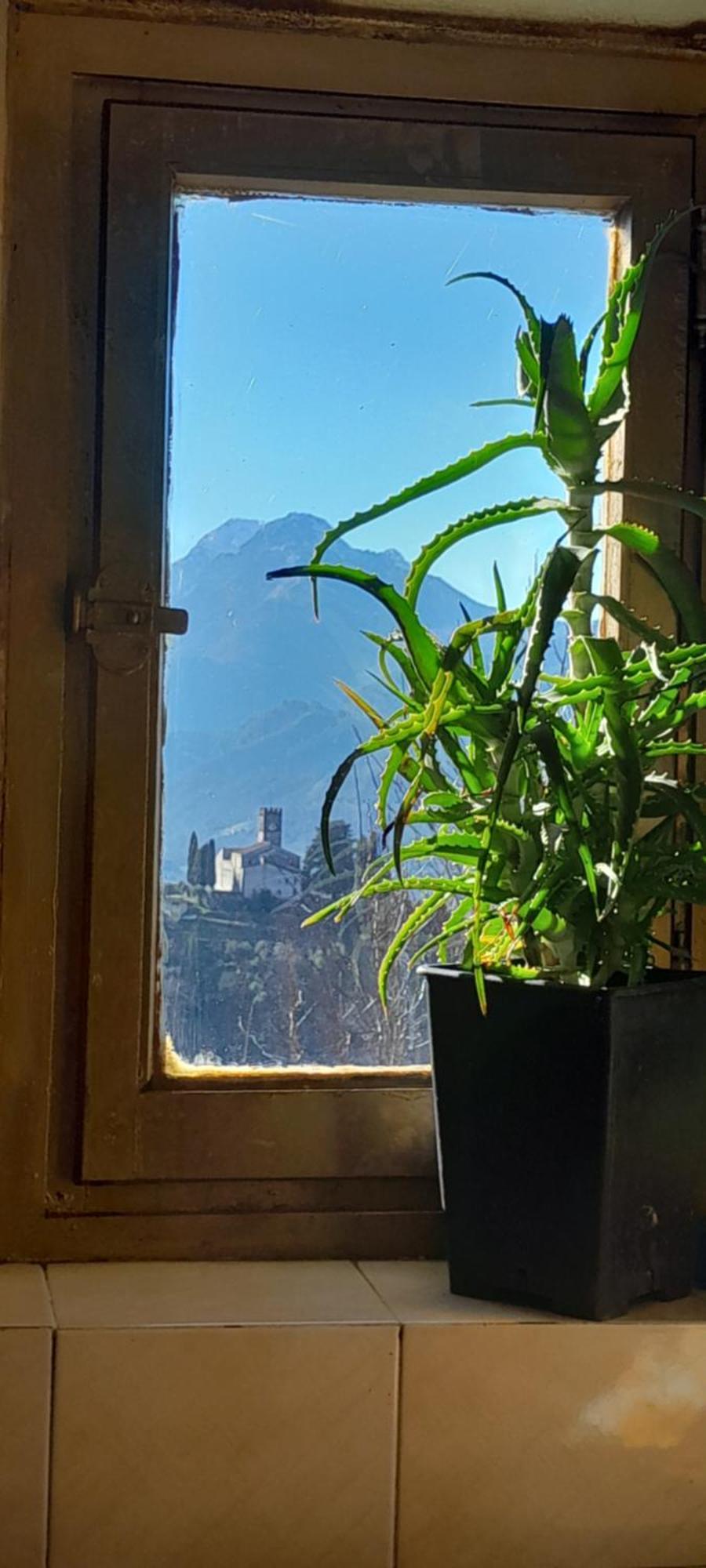 La Fatina Lodge Барга Экстерьер фото